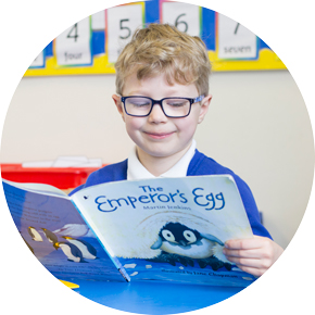 Pupil reading the Emperor's Egg reading book in class.
